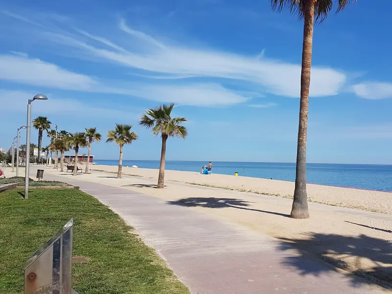 Paseo marítimo de Pineda de Mar con palmeras y la playa